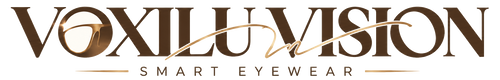 VoxiluVision